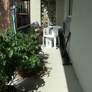 Meet your Posher, William